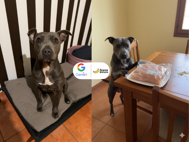 Domina Nano Banana, el editor de IA de Gemini. Crea imágenes impactantes con comandos de texto.