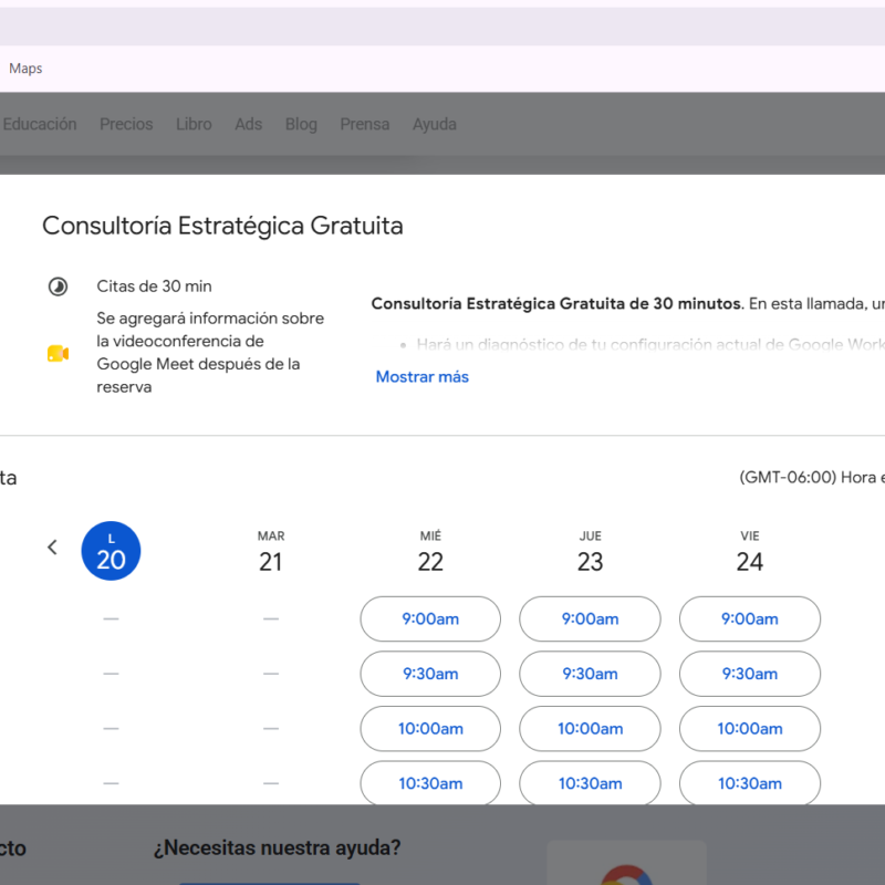 Calendario de Google incrustado en una página web en la cual puedes agendar una consultoría.